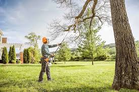 Best Firewood Processing and Delivery  in Woodbridge, CA